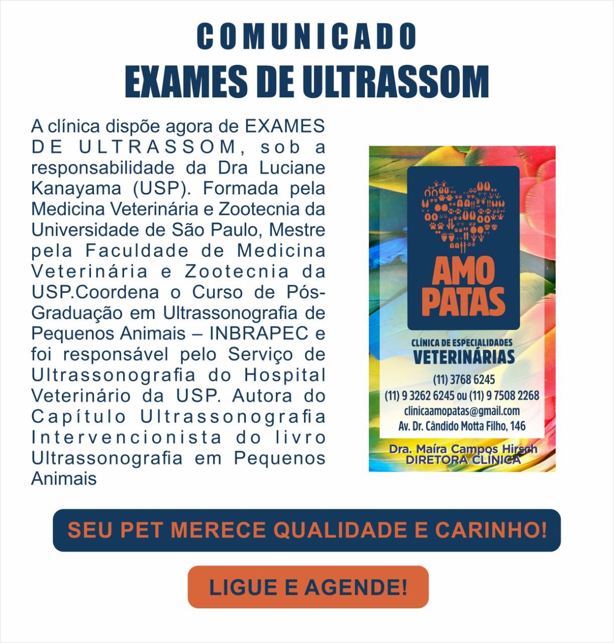 exames de ultrassom