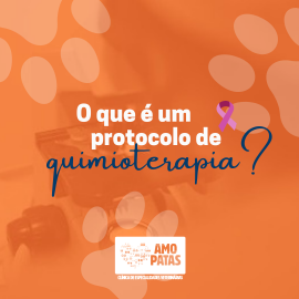 O que é um protocolo de quimioterapia?