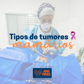 Tipos de tumores mamários