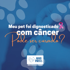 Meu pet foi diagnosticado com câncer. Pode ser curado?